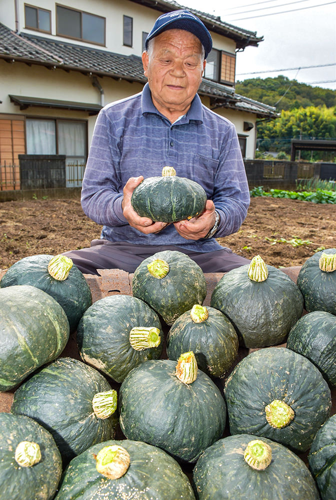 収獲したカボチャの品質を確認する神崎さんの写真