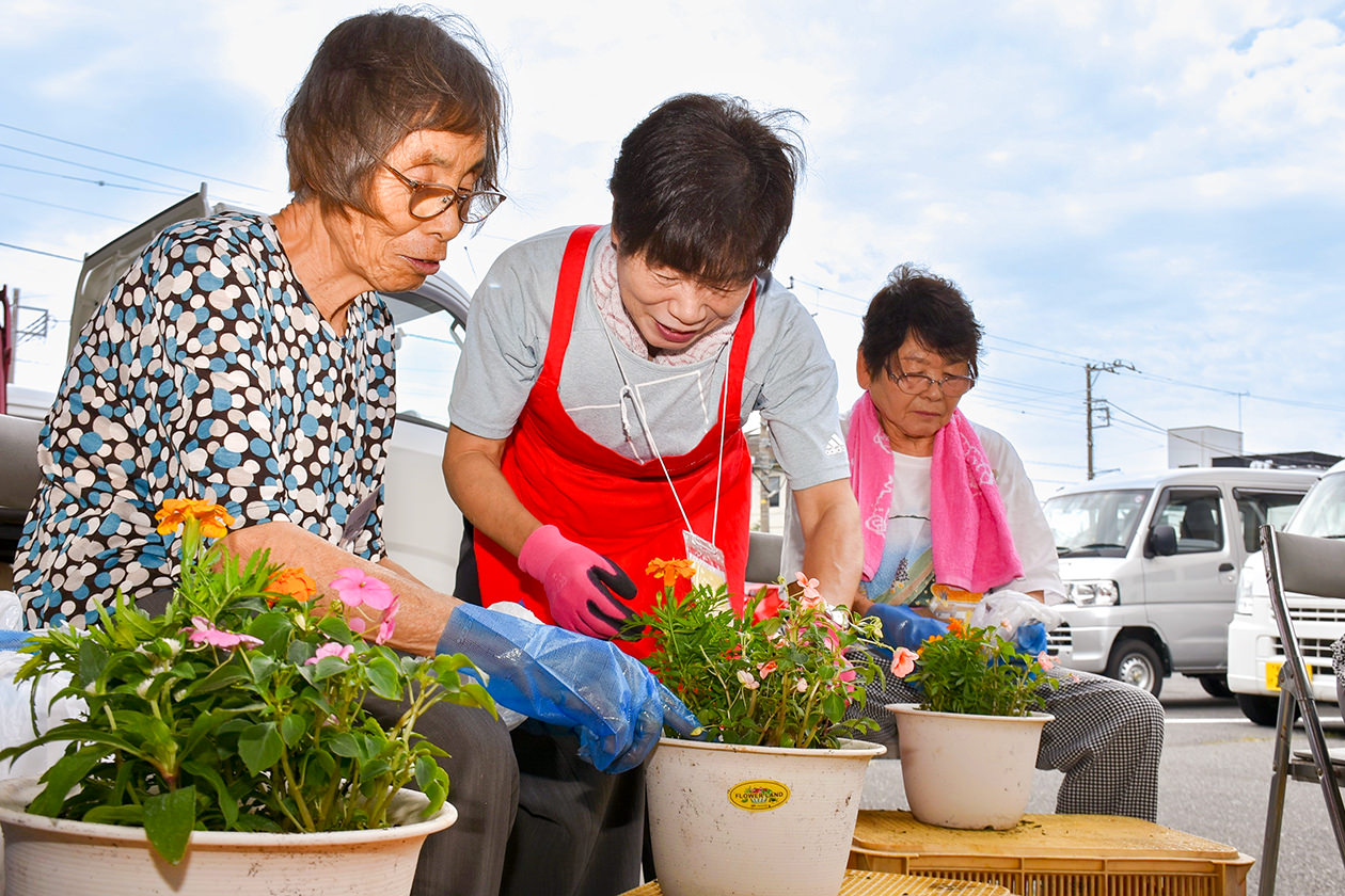 秋まで楽しむことができる寄せ植えが完成の写真