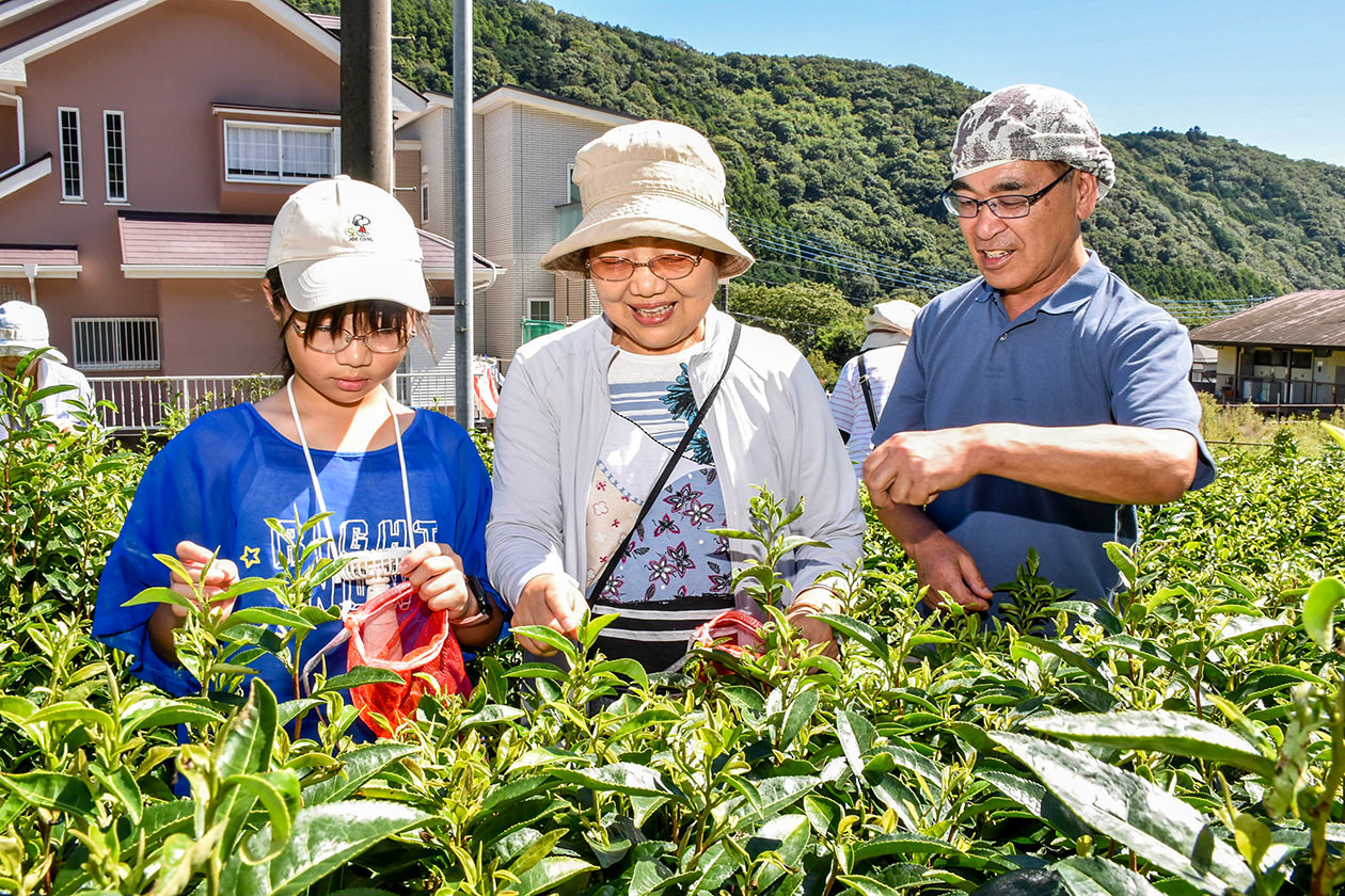 山口工場長（右）から収穫方法を学ぶ参加者の写真