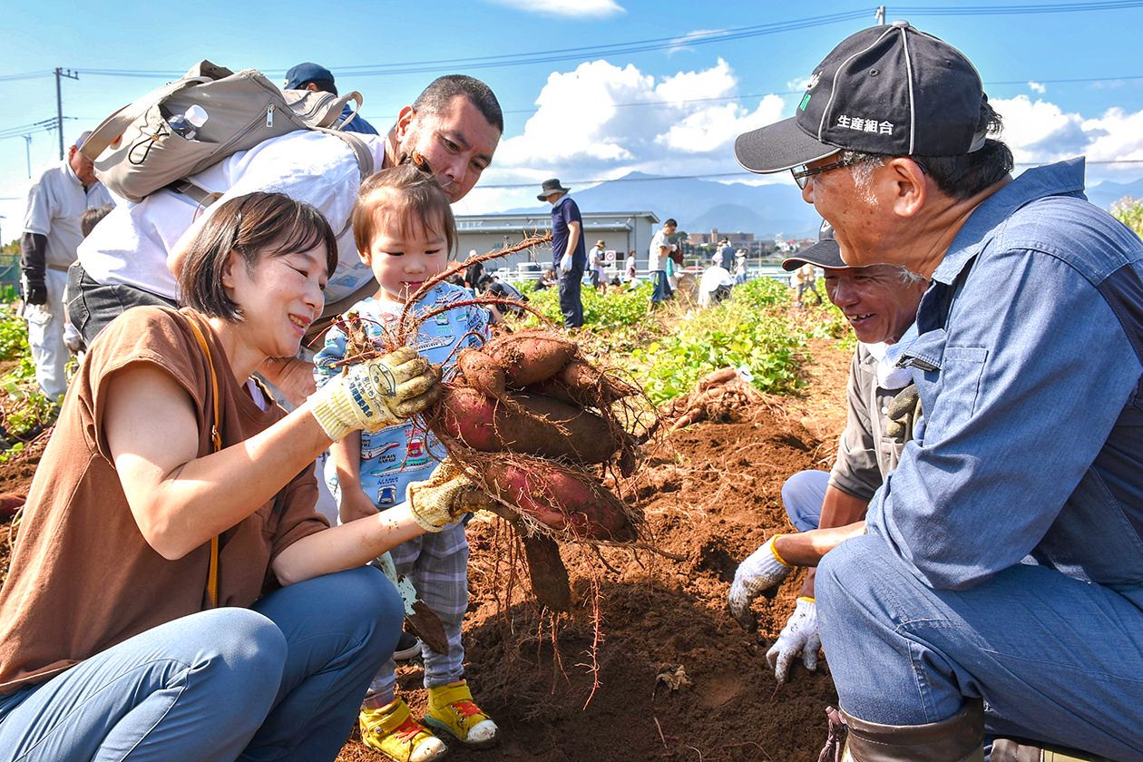 10月12日 睦合地区 親子ふれあい農園の写真