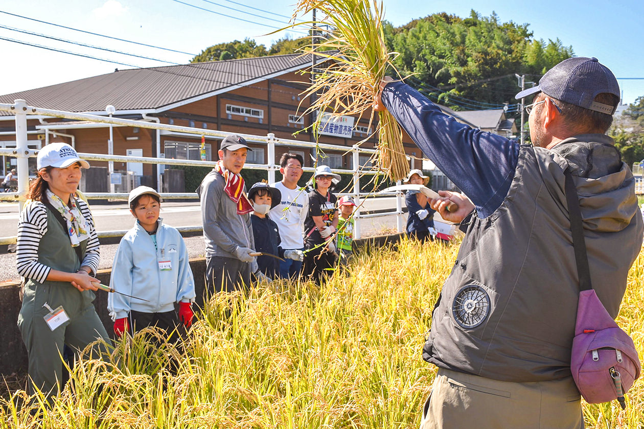 10月14日 食農教育事業 親子夢未Kidsスクールの写真