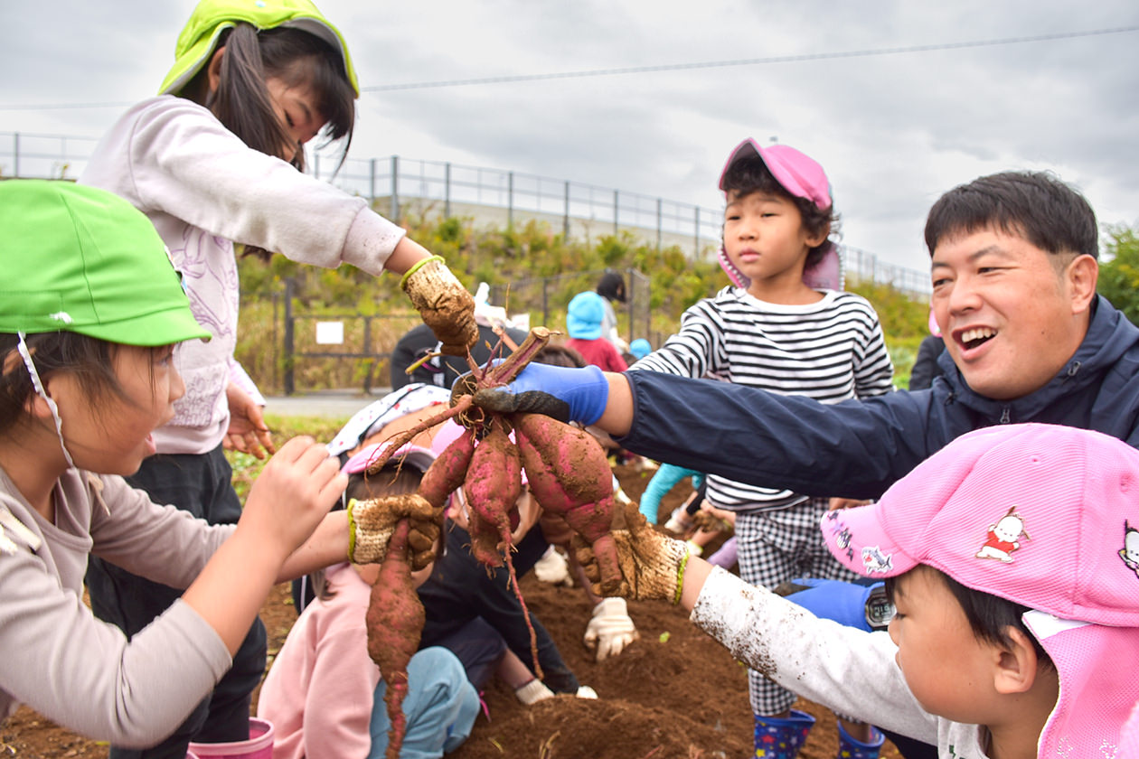 10月29日 相川地区 相川保育所サツマイモ掘りの写真