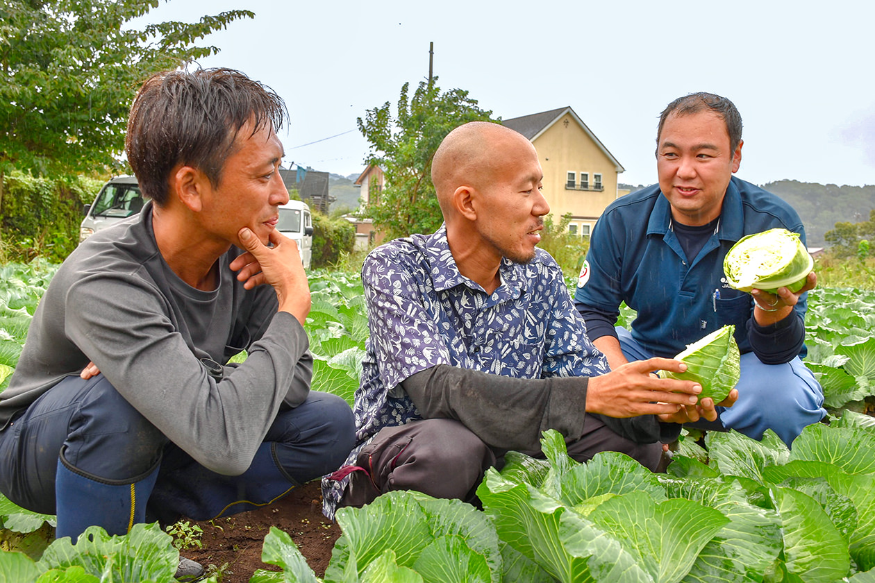 JA職員（右）とともにキャベツの生育状況を確認する生産者の写真