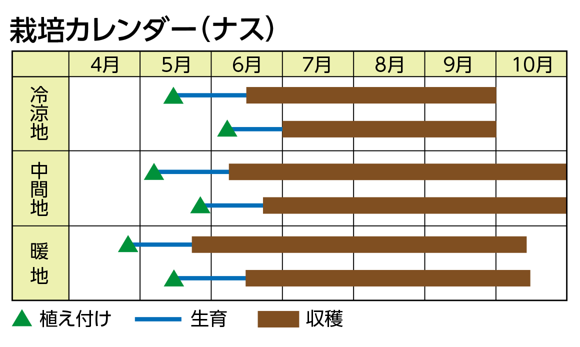 栽培カレンダー（ナス）