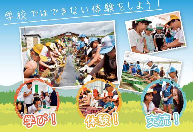 親子夢未Kidsスクールの外観