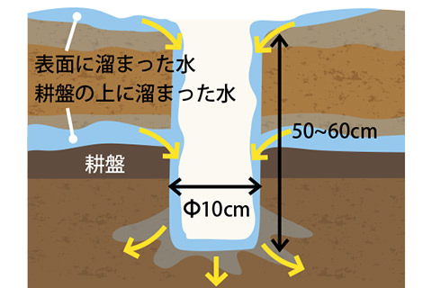 縦穴排水で圃場の冠水被害を防ぐ | 営農通信 | JAあつぎ