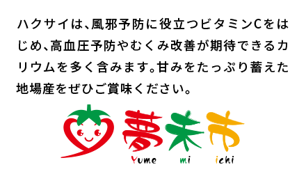 ハクサイは、風邪予防に役立つビタミンCをはじめ、高血圧予防やむくみ改善が期待できるカリウムを多く含みます。甘みをたっぷり蓄えた地場産をぜひご賞味ください。