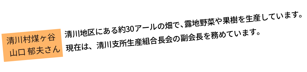 清川地区にある約30アールの畑で、露地野菜や果樹を生産しています。現在は、清川支所生産組合長会の副会長を務めています。