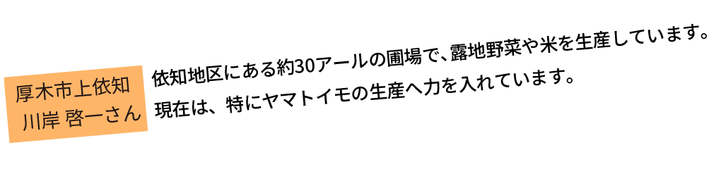 依知地区にある約30アールの圃場で、露地野菜や米を生産しています。現在は、特にヤマトイモの生産へ力を入れています。