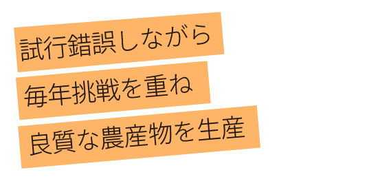 試行錯誤しながら 毎年挑戦を重ね 良質な農産物を生産