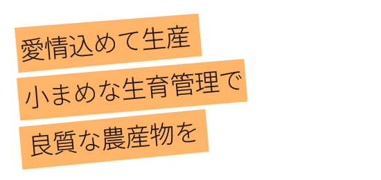 愛情込めて生産 小まめな生育管理で 良質な農産物を